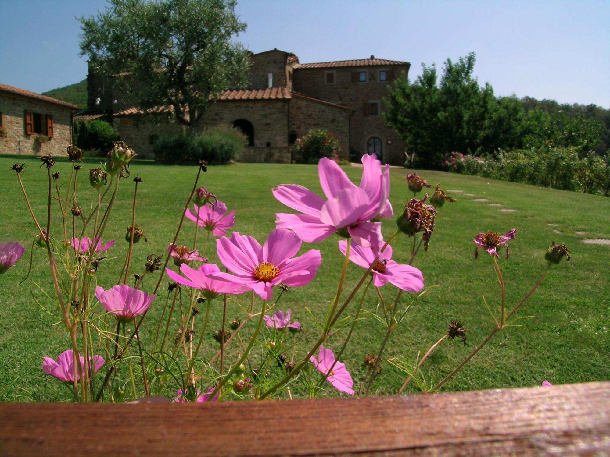 Agriturismo Ca' Lucano Villa Arezzo Luaran gambar